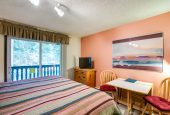 Mt. Baker Lodging Condo #46SLL - Convenient - Economical - WIFI - Sleeps 2